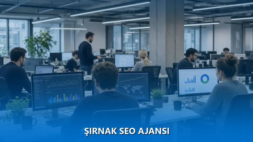 Şırnak SEO Ajansı